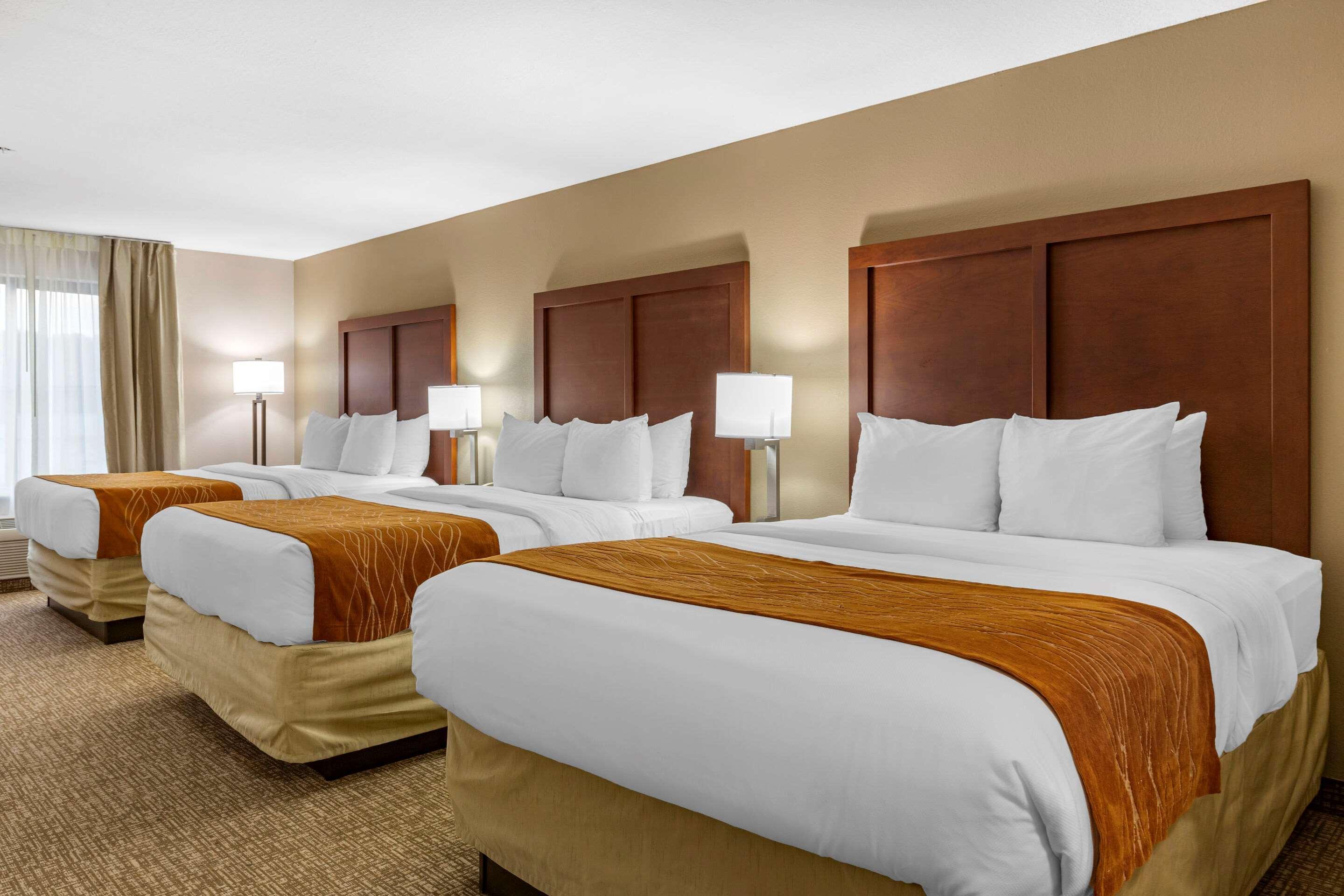 Comfort Inn Smithfield Near I-95 מראה חיצוני תמונה
